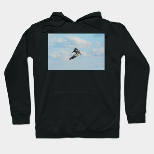 Iin Flight Hoodie